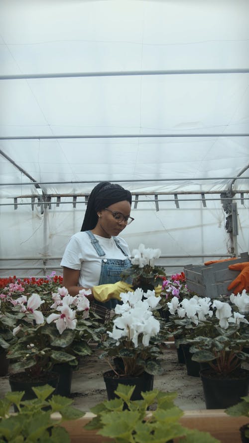 有关一起, 人, 保重的免费素材视频