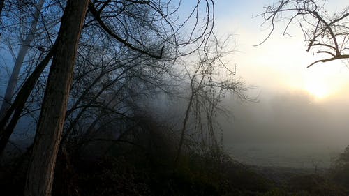 有关健行, 公园, 冷静的免费素材视频