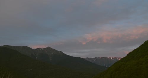 有关丛林, 地平线, 天性的免费素材视频