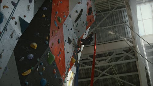 有关人, 休闲, 信心的免费素材视频