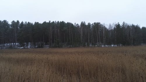 有关冬季, 冬季景观, 天空的免费素材视频