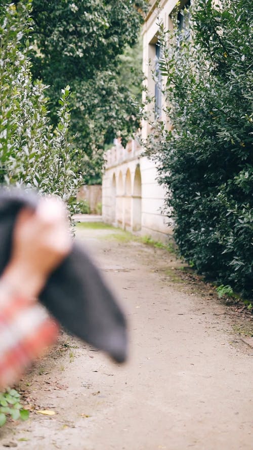 有关人行道, 休闲, 公园的免费素材视频