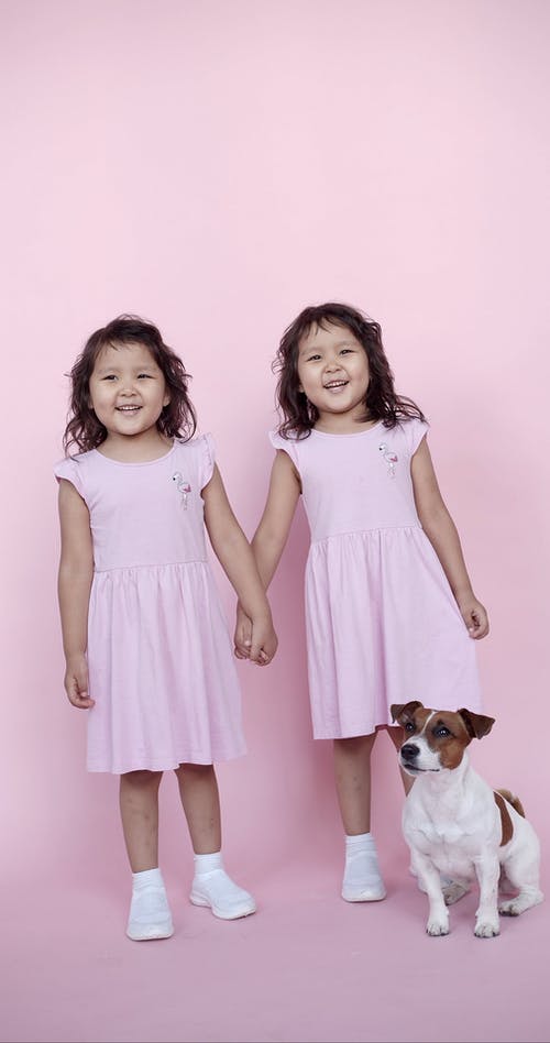 有关一起, 动物, 可爱的免费素材视频