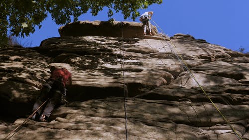 有关不怕, 休闲, 低角度拍摄的免费素材视频