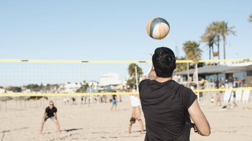 有关不露面, 休闲, 团队的免费素材视频