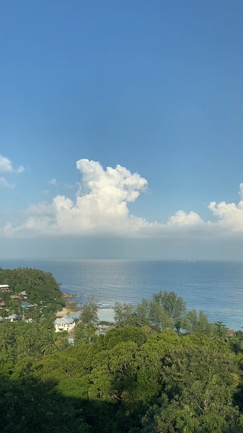 有关垂直视频, 天性, 天空的免费素材视频