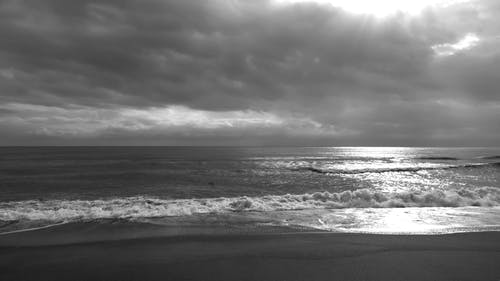 有关假期, 光, 天性的免费素材视频