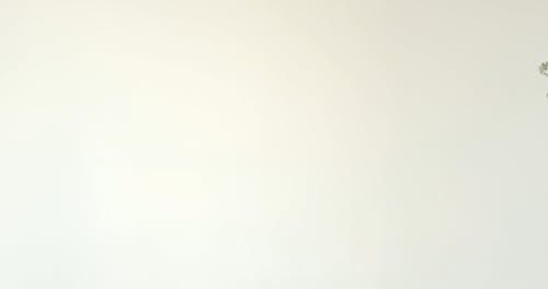 有关LGBT-H, 摆姿势, 模特儿的免费素材视频