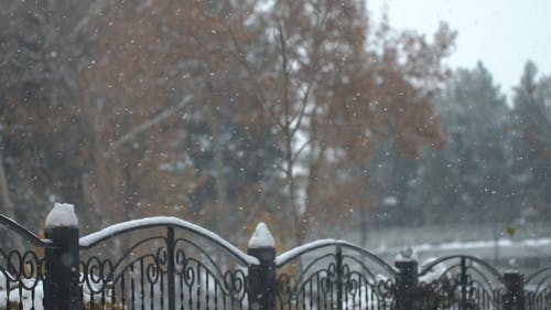 有关下雪, 冬季, 围栏的免费素材视频