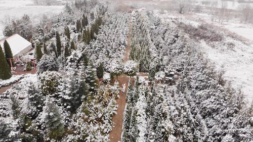 有关下雪的, 下雪的天气, 保暖的衣物的免费素材视频