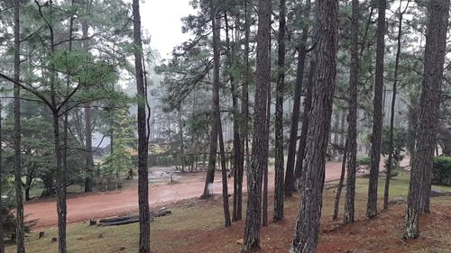 有关下雨天, 原本, 多雨的的免费素材视频