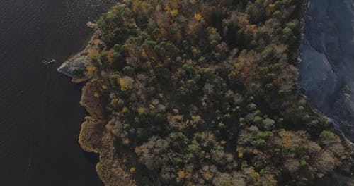 有关atmosfera de outono, 和平的, 天性的免费素材视频