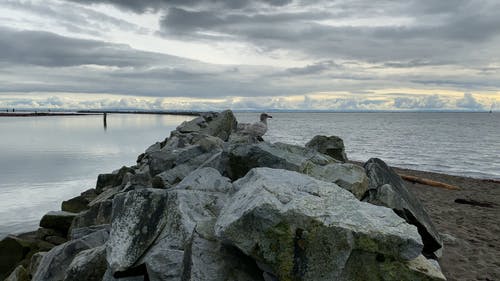有关地平线, 天性, 天空的免费素材视频