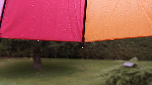 有关atmosfera de outono, 下雨, 多雨的的免费素材视频