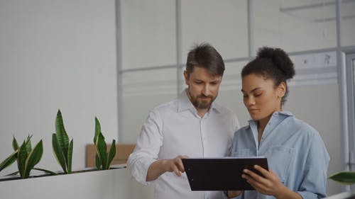 有关人, 同事, 多样化的免费素材视频