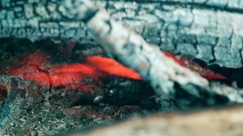 有关木炭, 火, 火焰的免费素材视频