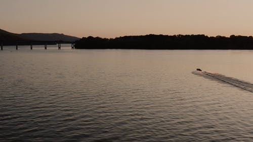 有关剪影, 天性, 天空的免费素材视频