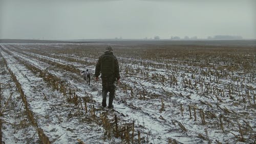 有关下雪的, 冬季, 冰的免费素材视频