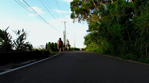 有关天性, 小路, 旅行的免费素材视频