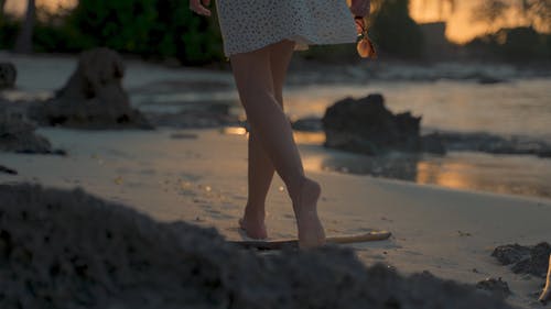 有关在日落时走的女人, 天性, 女人的免费素材视频