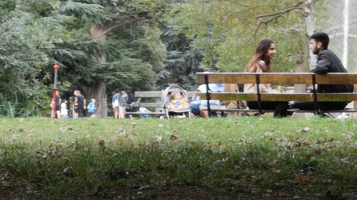 有关一对, 人, 人们放松的免费素材视频