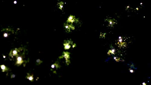 有关平移拍摄, 漆黑, 圣诞灯饰的免费素材视频