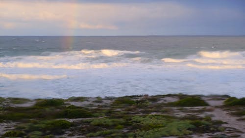 有关天性, 岸边, 彩虹的免费素材视频