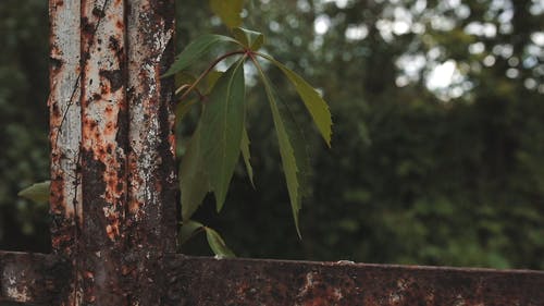 有关动态射击, 工厂, 手持拍摄的免费素材视频