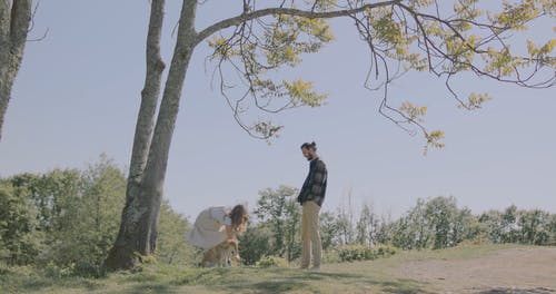 有关一对, 一起, 享受的免费素材视频