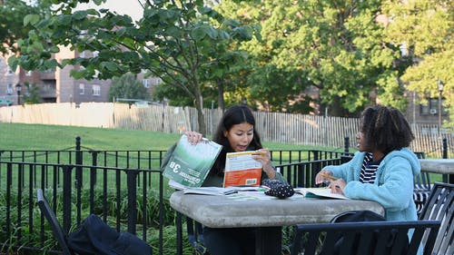 有关公园, 垂直视频, 学校的免费素材视频