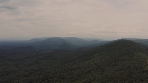 有关丛林, 和平的, 天性的免费素材视频