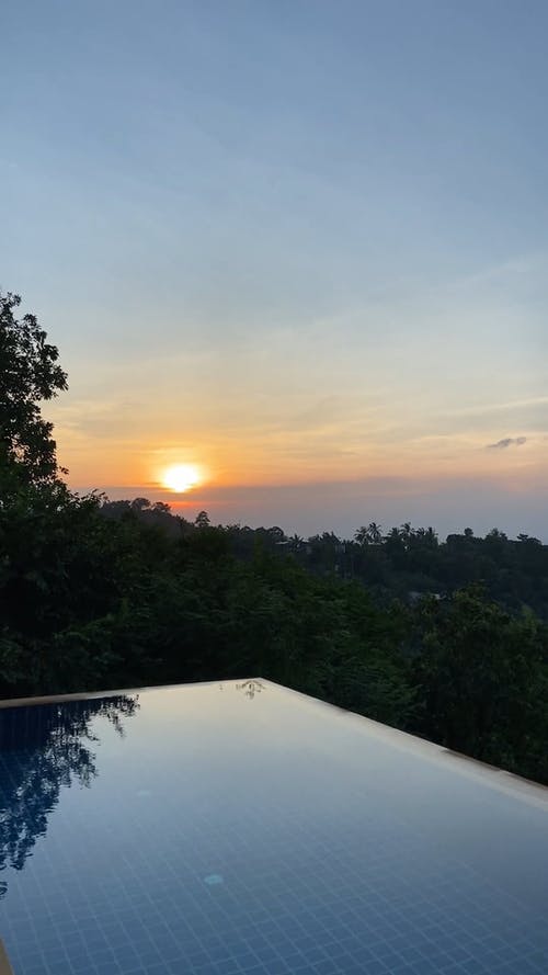 有关假期, 垂直视频, 天性的免费素材视频