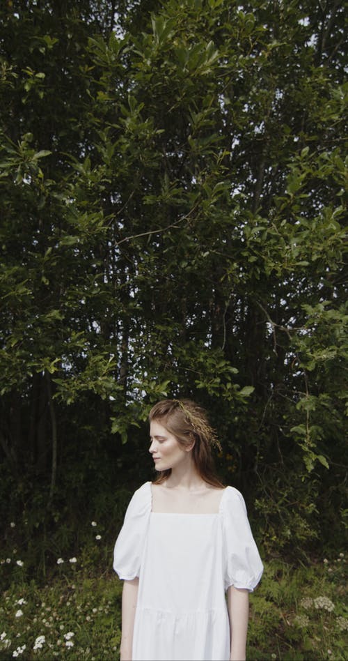 有关修理头发, 垂直视频, 天性的免费素材视频