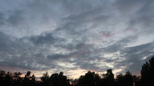 有关剪影, 天空, 星空的免费素材视频