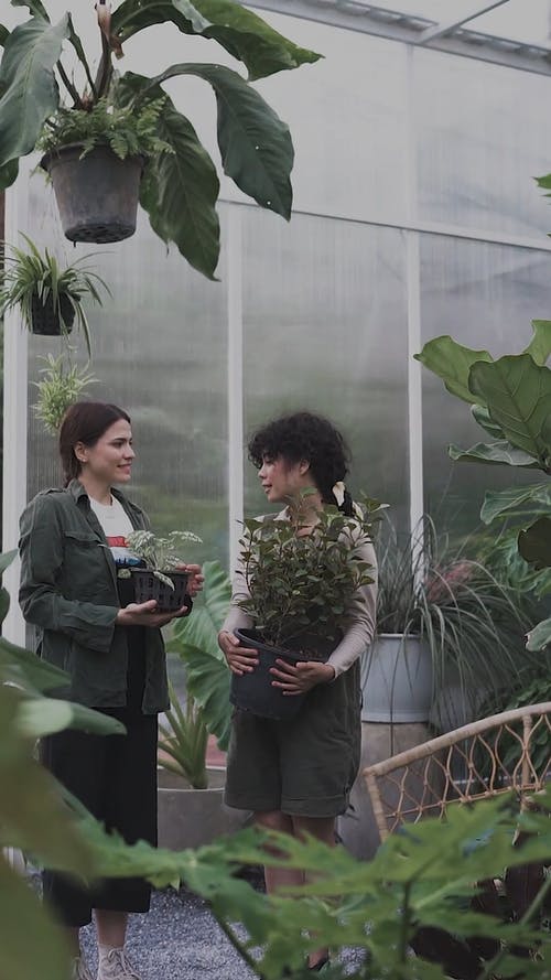 有关女性, 悬挂植物, 抓住的免费素材视频