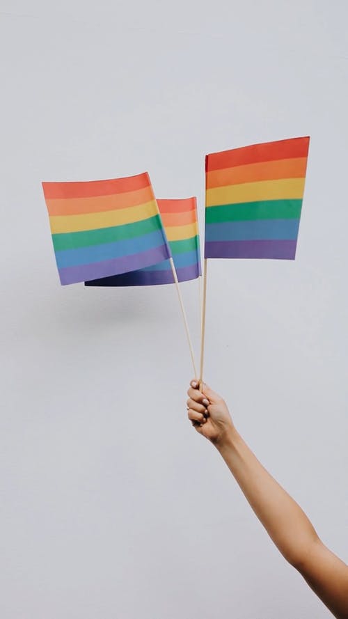有关LGBTQ, lgbt标志, 人的免费素材视频