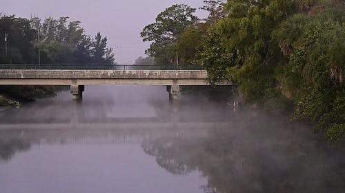 有关反射, 坏心情, 天性的免费素材视频