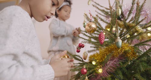 孩子们装饰圣诞树 · 免费素材视频