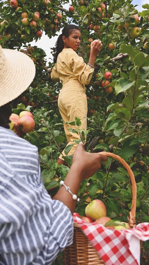 有关垂直视频, 太阳帽, 女孩的免费素材视频