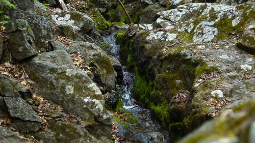 有关天性, 岩石, 水的免费素材视频
