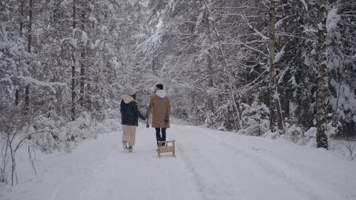 有关一对, 下雪的, 冬季的免费素材视频