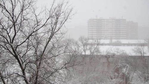 有关下雪, 冬季, 冷冻的免费素材视频