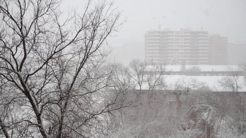 有关下雪, 冬季, 冷冻的免费素材视频