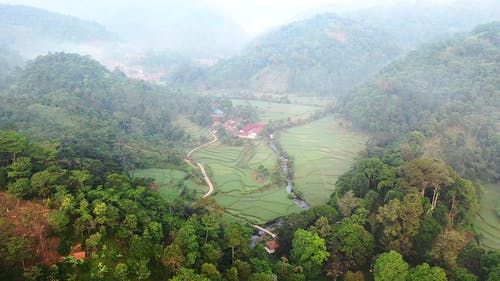 有关下田, 丘陵, 印尼的免费素材视频