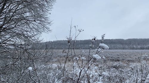 有关下雪的天气, 冬季, 冰的免费素材视频