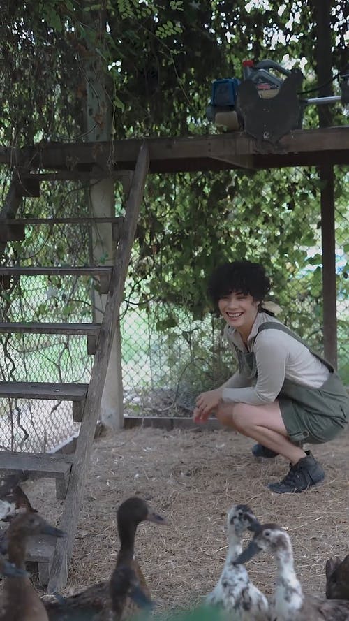 有关休闲, 动物, 嗜好的免费素材视频