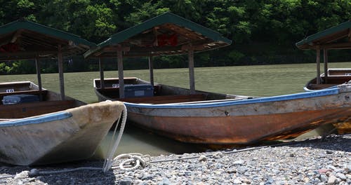 有关停泊, 水上技能, 河的免费素材视频