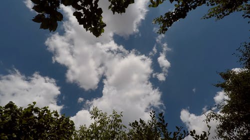 有关低云, 厚厚的云层, 多云的的免费素材视频