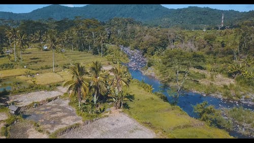 有关农地, 山, 森林的免费素材视频