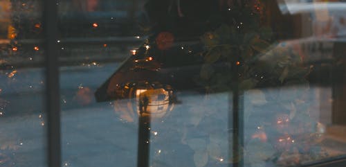 有关人, 反射, 树叶的免费素材视频